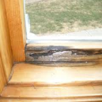 Rotted wood shown on internal Pella window frame